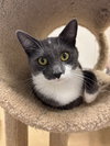 Willow - Photo 3