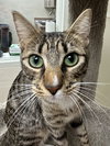 Tina - Photo 3