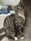 Tina - Photo 4
