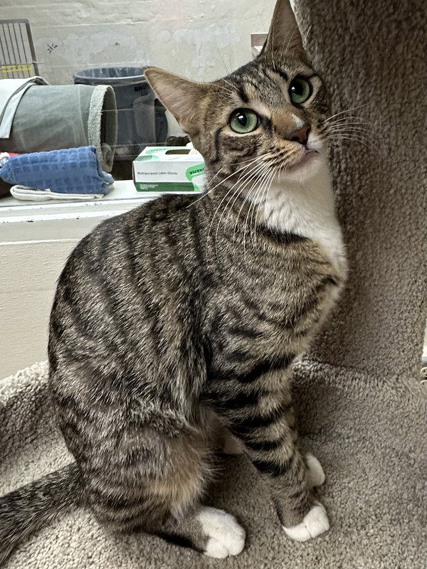 Tina