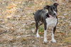 Gabby - Photo 2