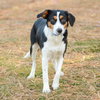 Tots - Photo 2