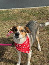 Jack - Photo 1