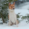 Pretzel-pending - Photo 1