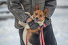 Pretzel-pending - Photo 4