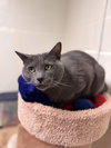 Luna *bonded pair*-pending - Photo 4