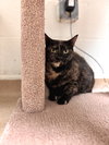 Holly - Photo 3