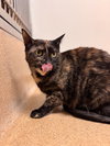 Holly - Photo 4