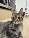 Randy-pending - Photo 3