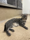 Randy-pending - Photo 4