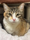 Baby Girl-pending - Photo 2