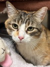Baby Girl-pending - Photo 3