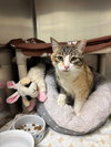 Baby Girl-pending - Photo 4