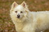 Princess-pending - Photo 4