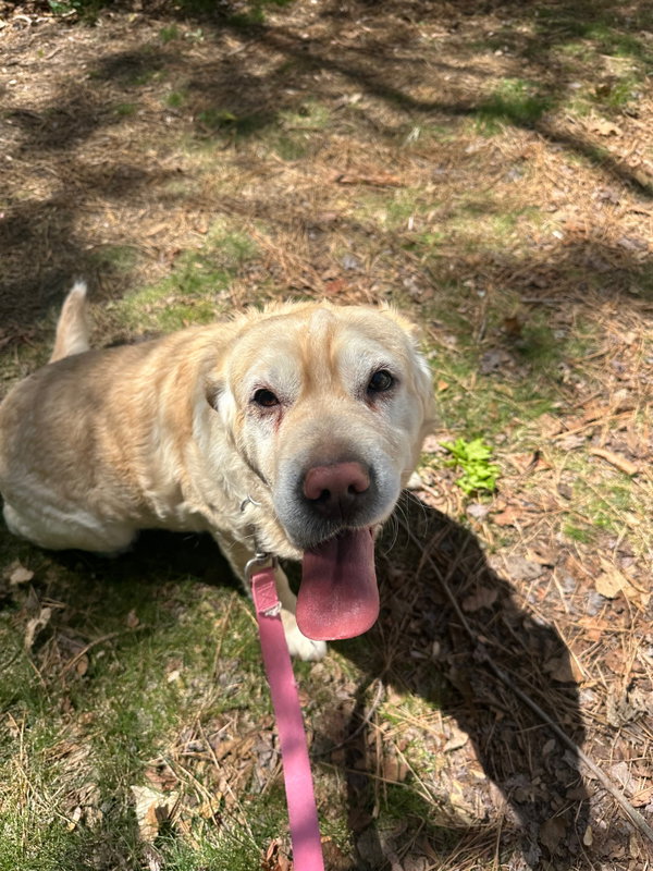 Marley *bonded pair*