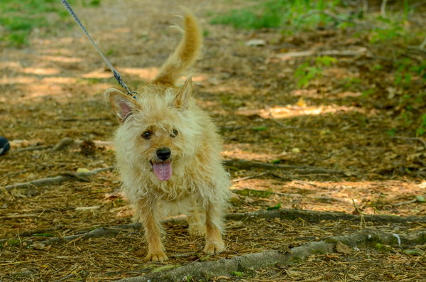 Baxter