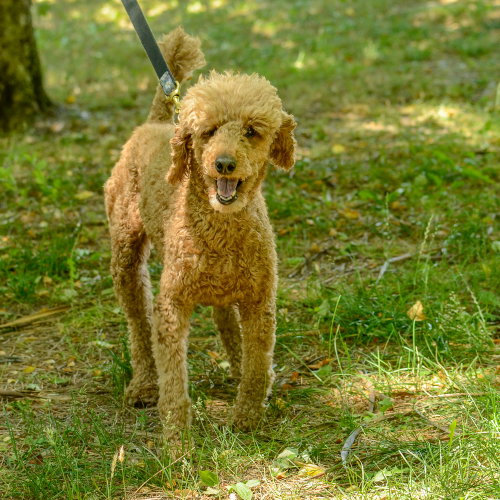 Mia photo 3