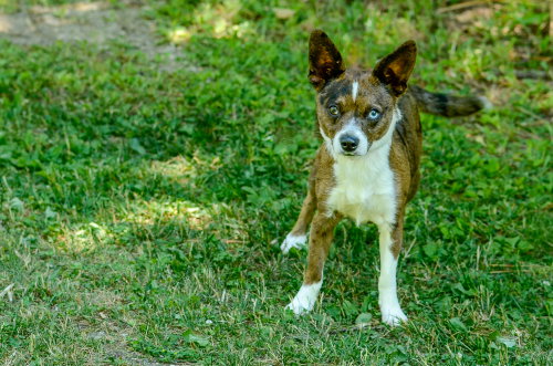 Waylon photo 2
