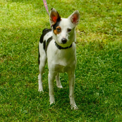 Suzie photo 3