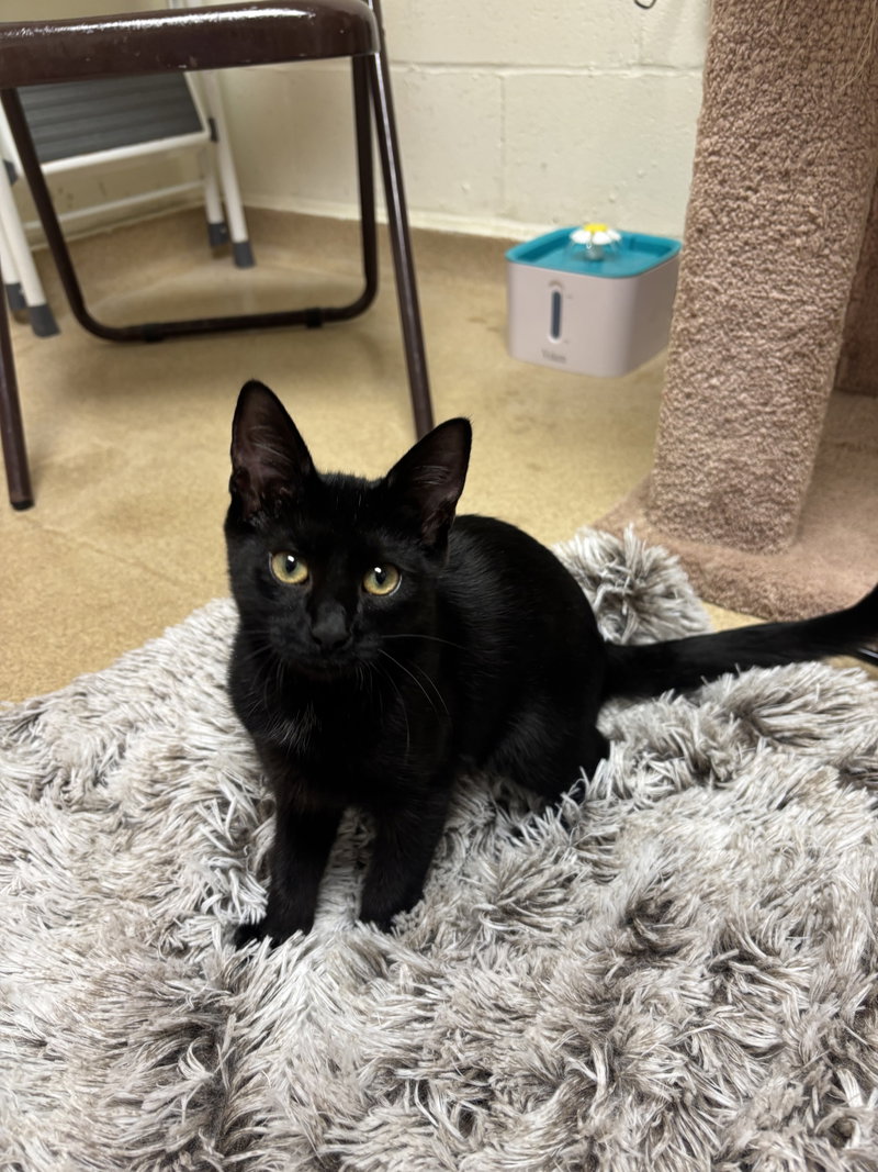 Marla, photo 2
