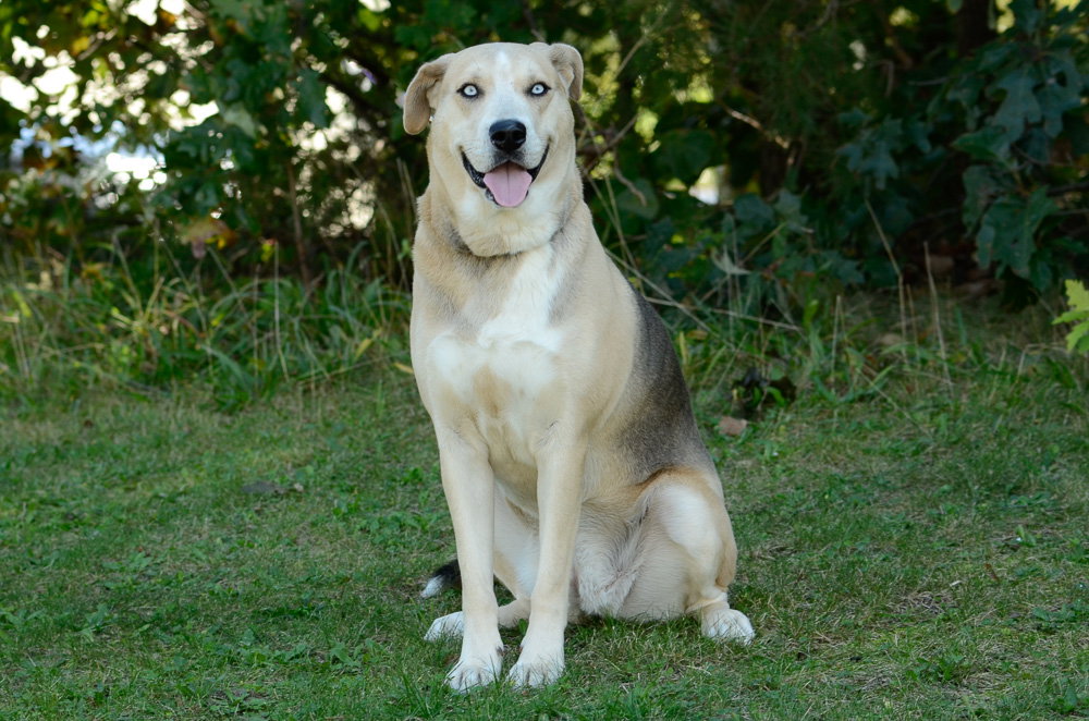 Vera