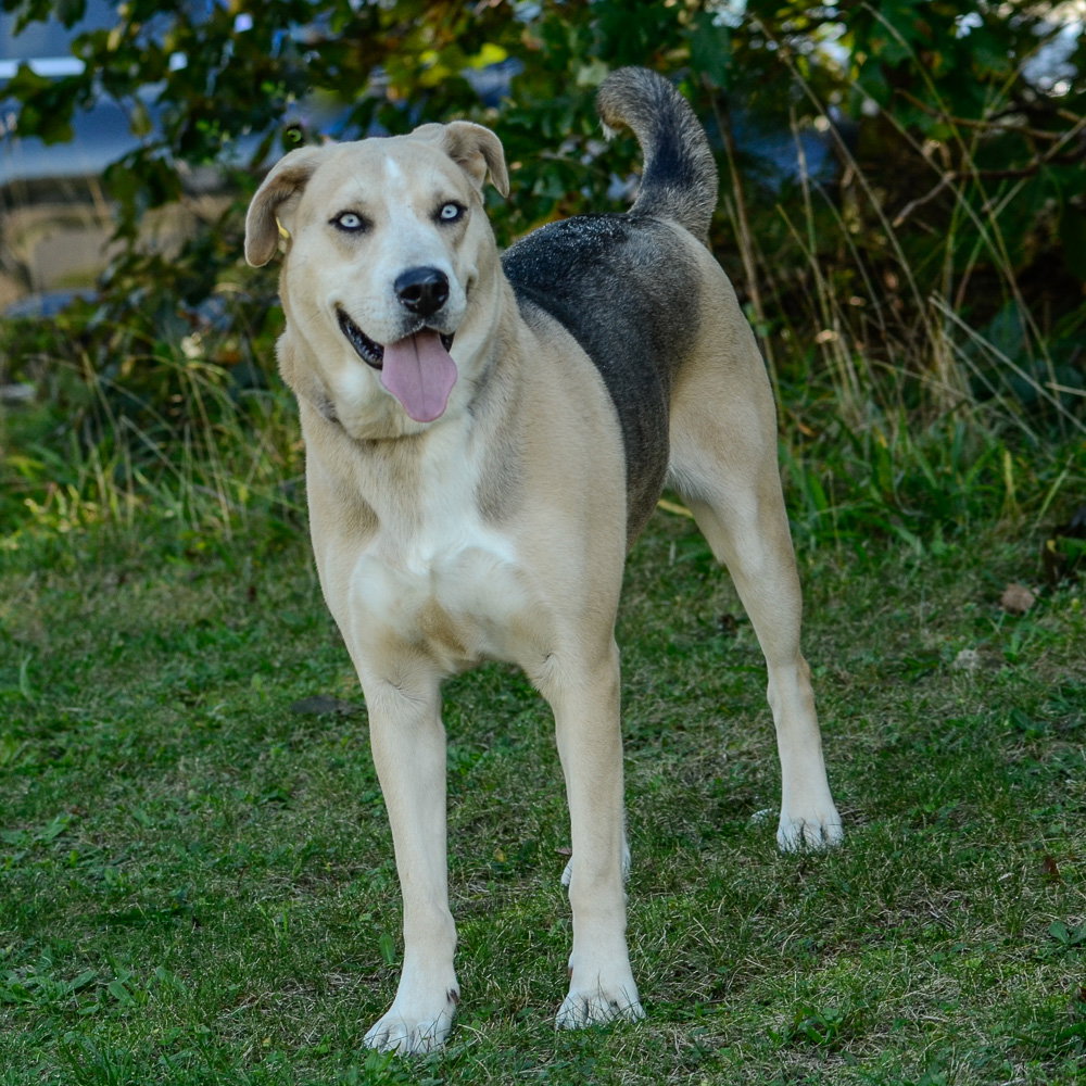 Vera, photo 4