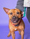 MOOKIE - Photo 1