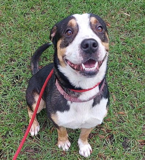 OSCAR