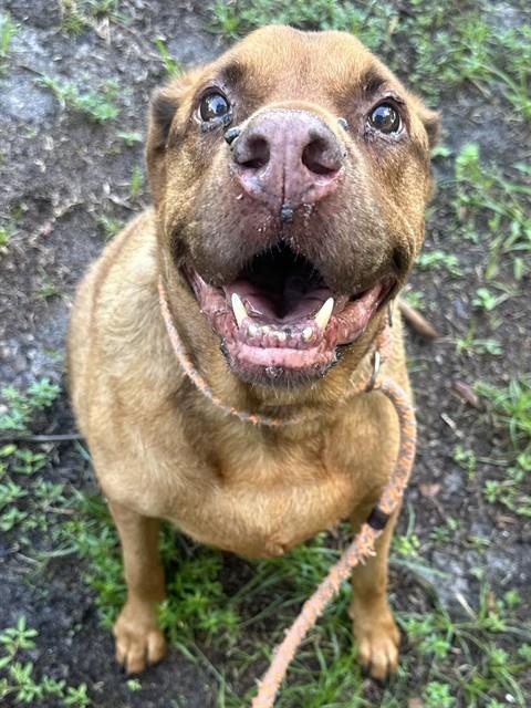 Copper
