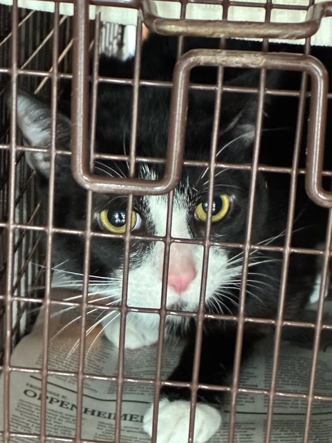 Unknown