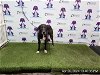 adoptable Dog in orlando, FL named *MARTY DONUT