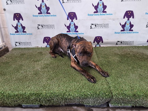 *BARRY
