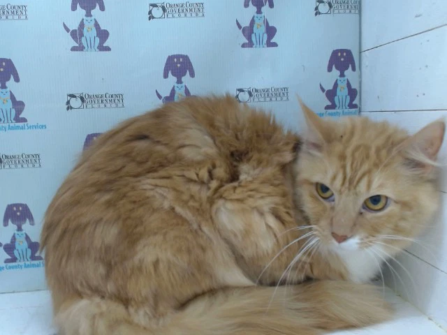 Precious