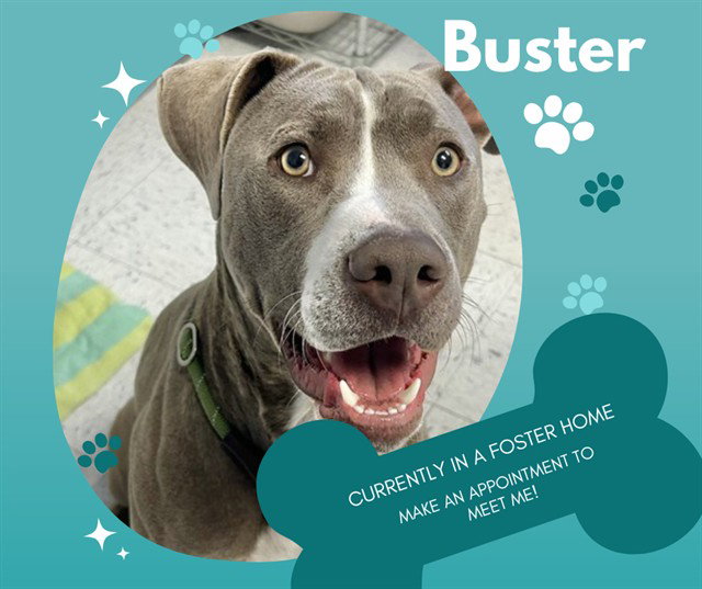 BUSTER