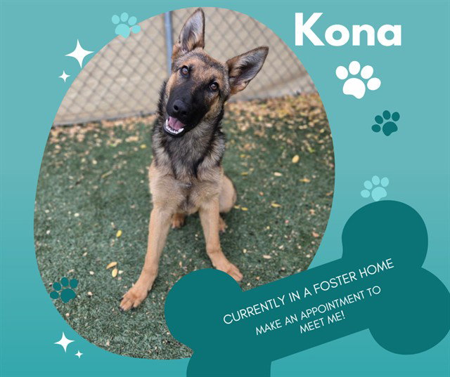 KONA
