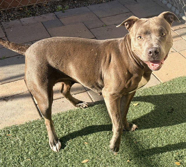 NALA
