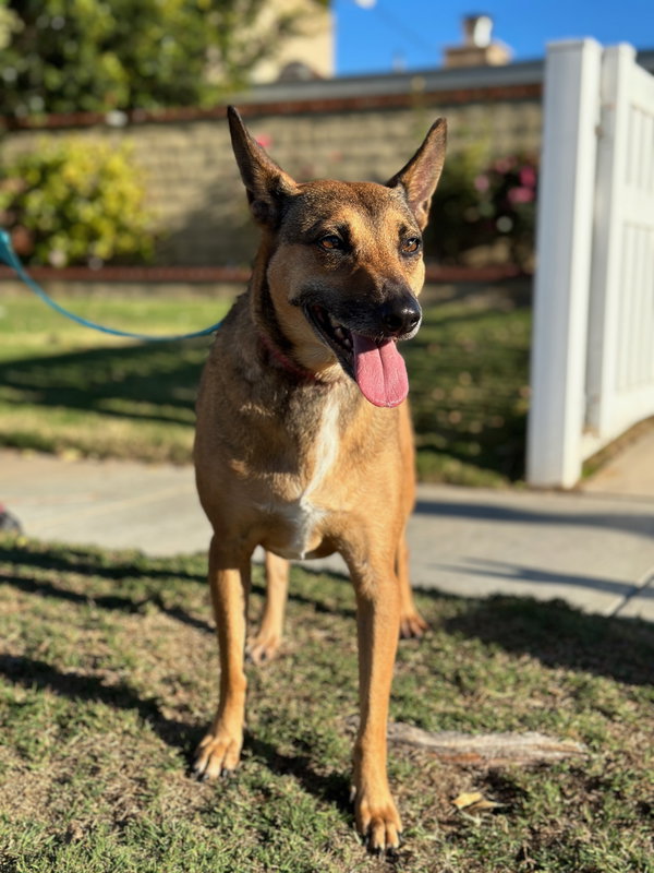 Athena