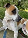 Lady - Photo 2