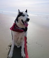 Axel - Photo 2