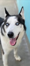 Axel *Courtesy Post * - Photo 1