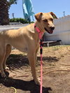 Electra *Courtesy Post* - Photo 2
