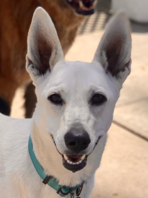 Gracie Mae — thumbnail 7