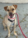Pippa - Photo 3