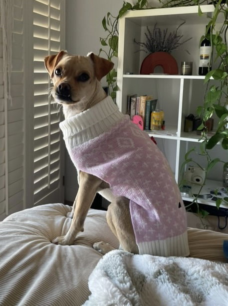 Pippa
