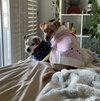 Pippa - Photo 5
