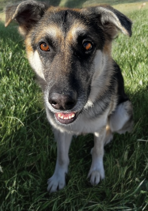 Kaia photo 3