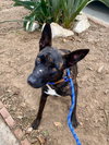 Snoop - Photo 1
