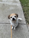 Mooshu - Photo 2