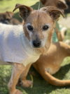 Melvin - Photo 5