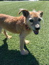 Melvin - Photo 3
